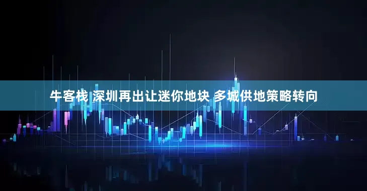 牛客栈 深圳再出让迷你地块 多城供地策略转向