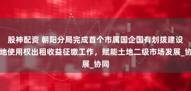 股神配资 朝阳分局完成首个市属国企国有划拨建设用地使用权出租收益征缴工作，赋能土地二级市场发展_协同