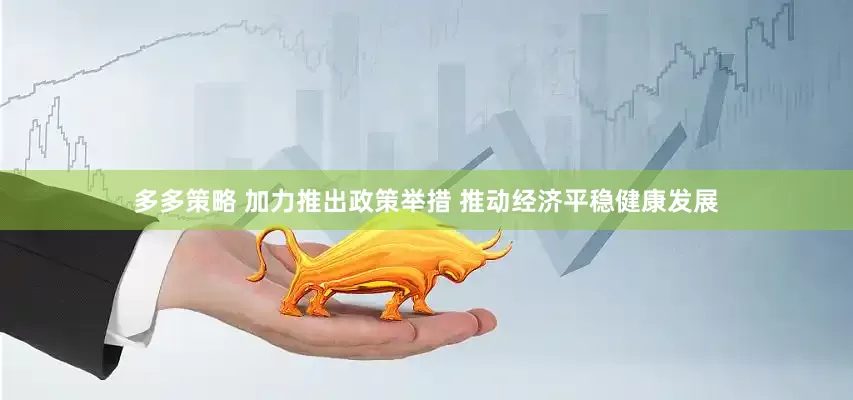 多多策略 加力推出政策举措 推动经济平稳健康发展