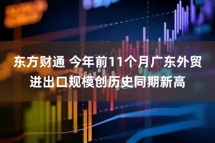 东方财通 今年前11个月广东外贸进出口规模创历史同期新高